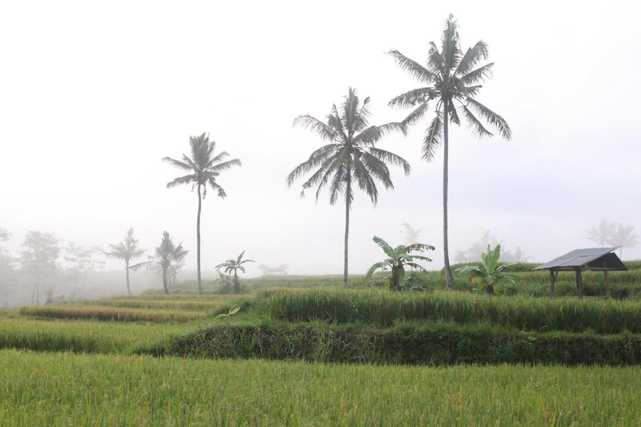 Agus Hidden Homestay - Banjar Sweet Village Banyuwangi  Luaran gambar
