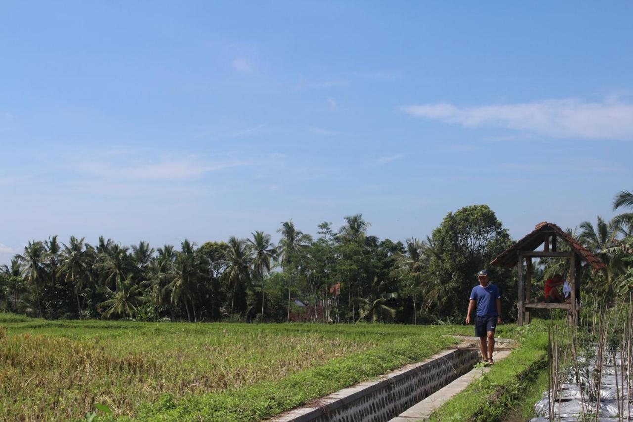 Agus Hidden Homestay - Banjar Sweet Village Banyuwangi  Luaran gambar